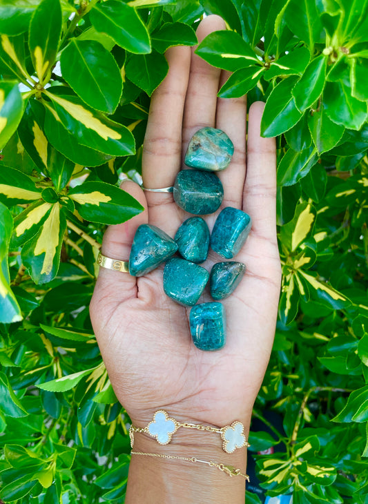 Tumbled Apatite