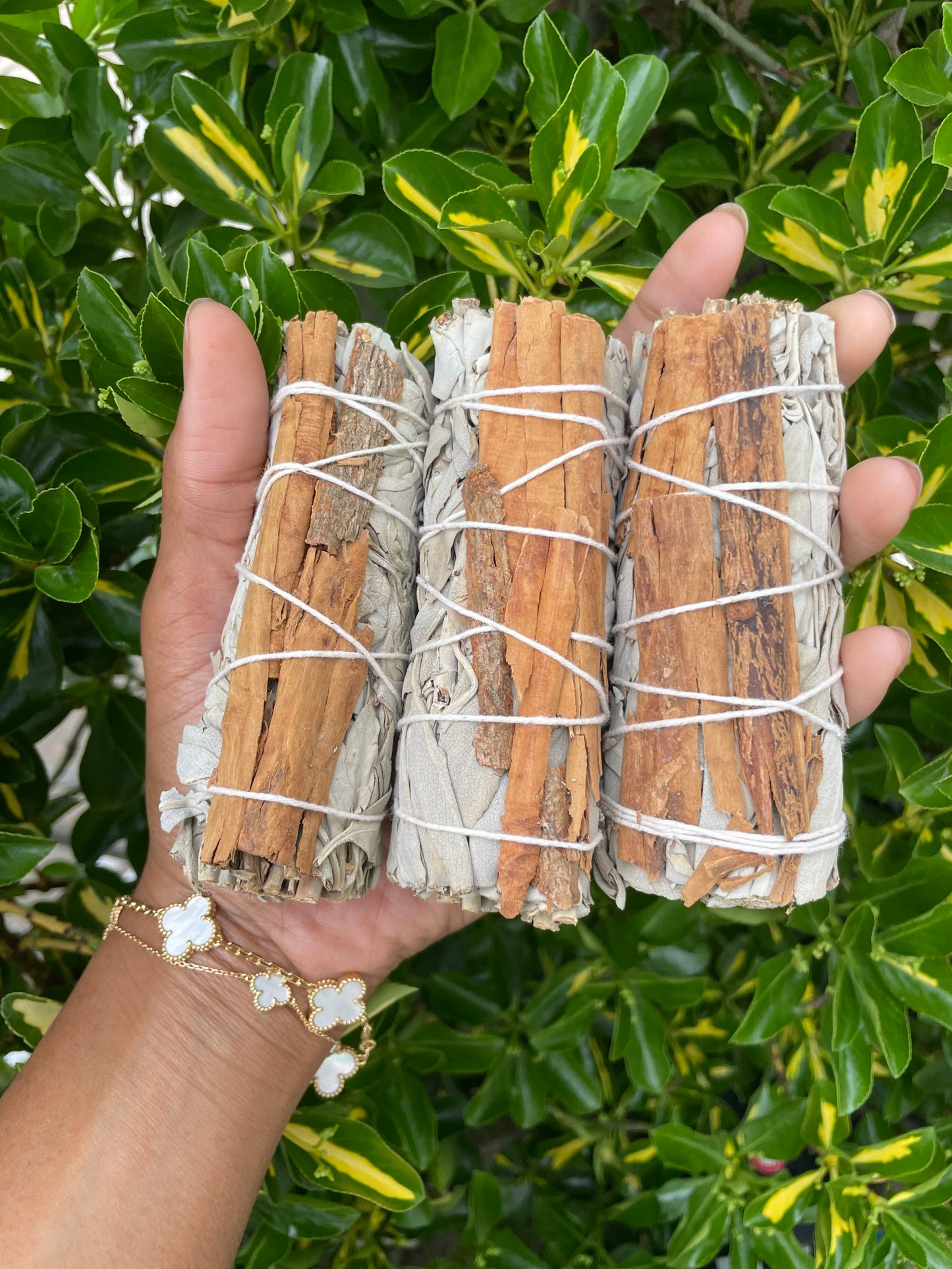 Cinnamon & White Sage