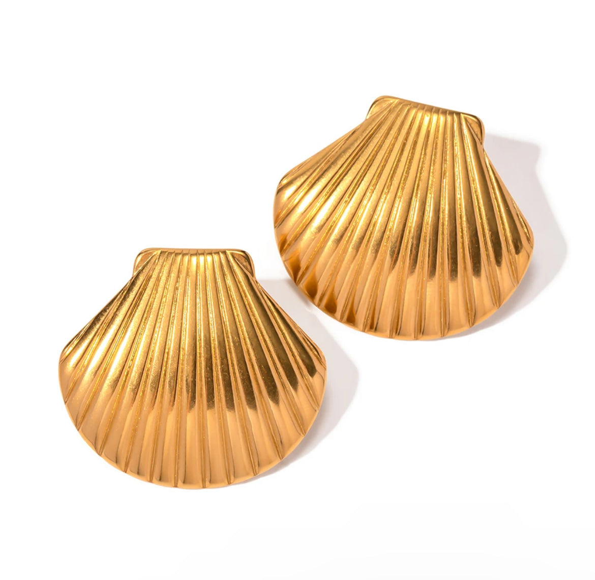 Scallop Earrings