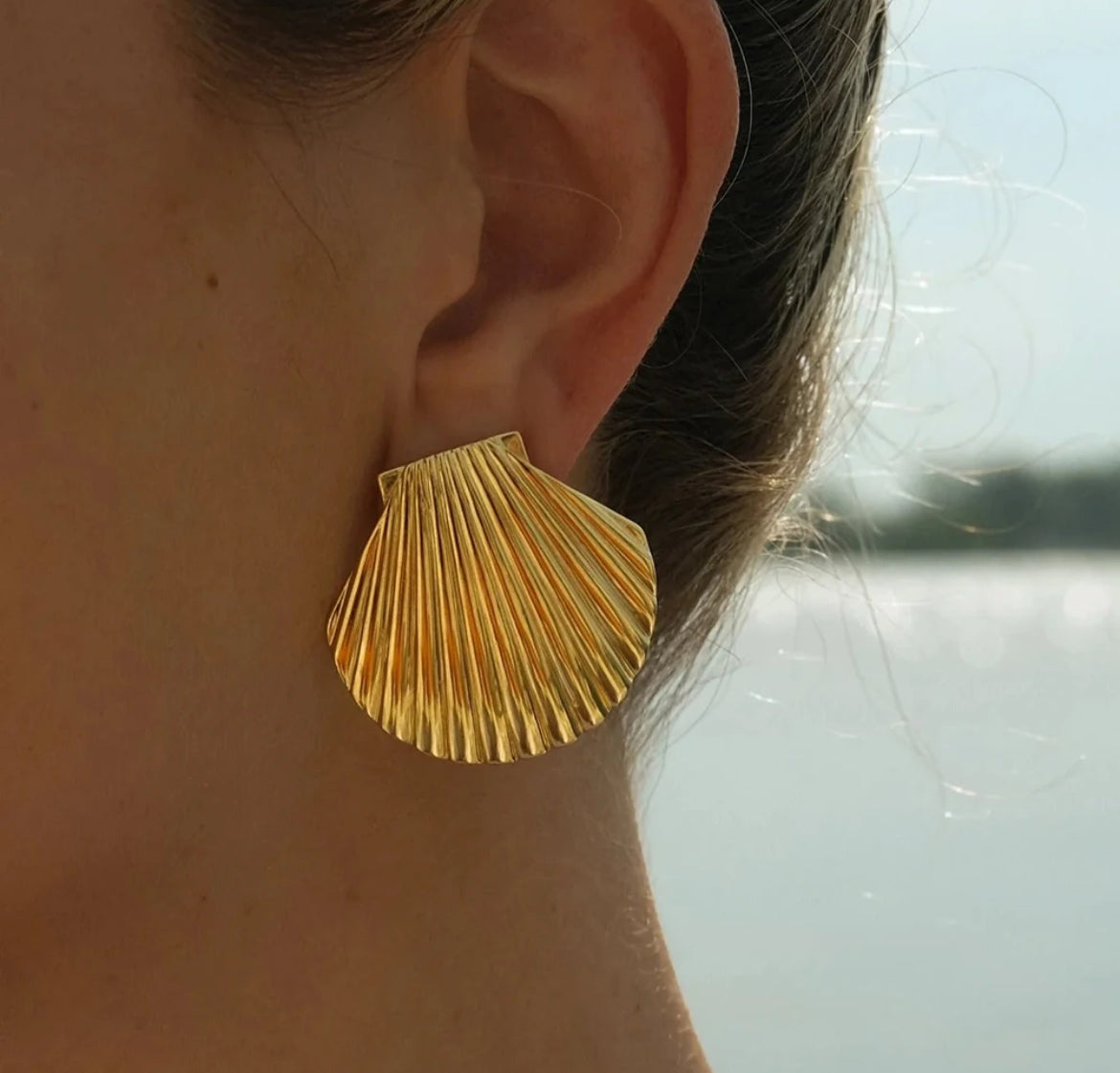 Scallop Earrings