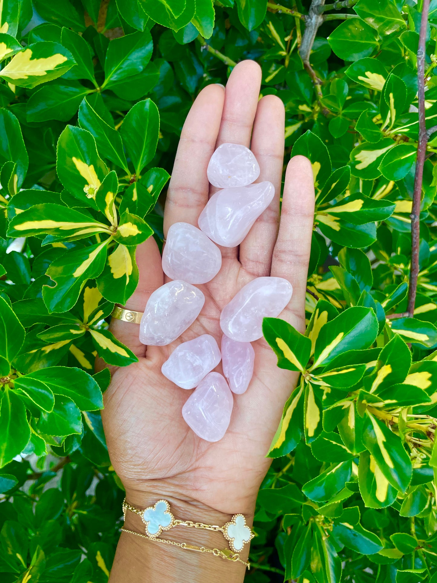 Tumbled Rose Quartz