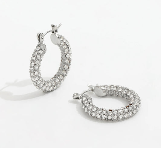 Fenet Sliver Hoops