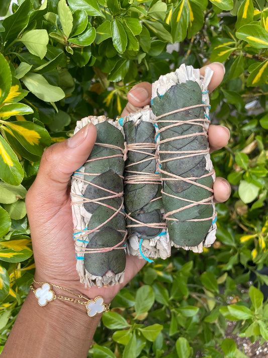 Eucalyptus and White Sage Stick