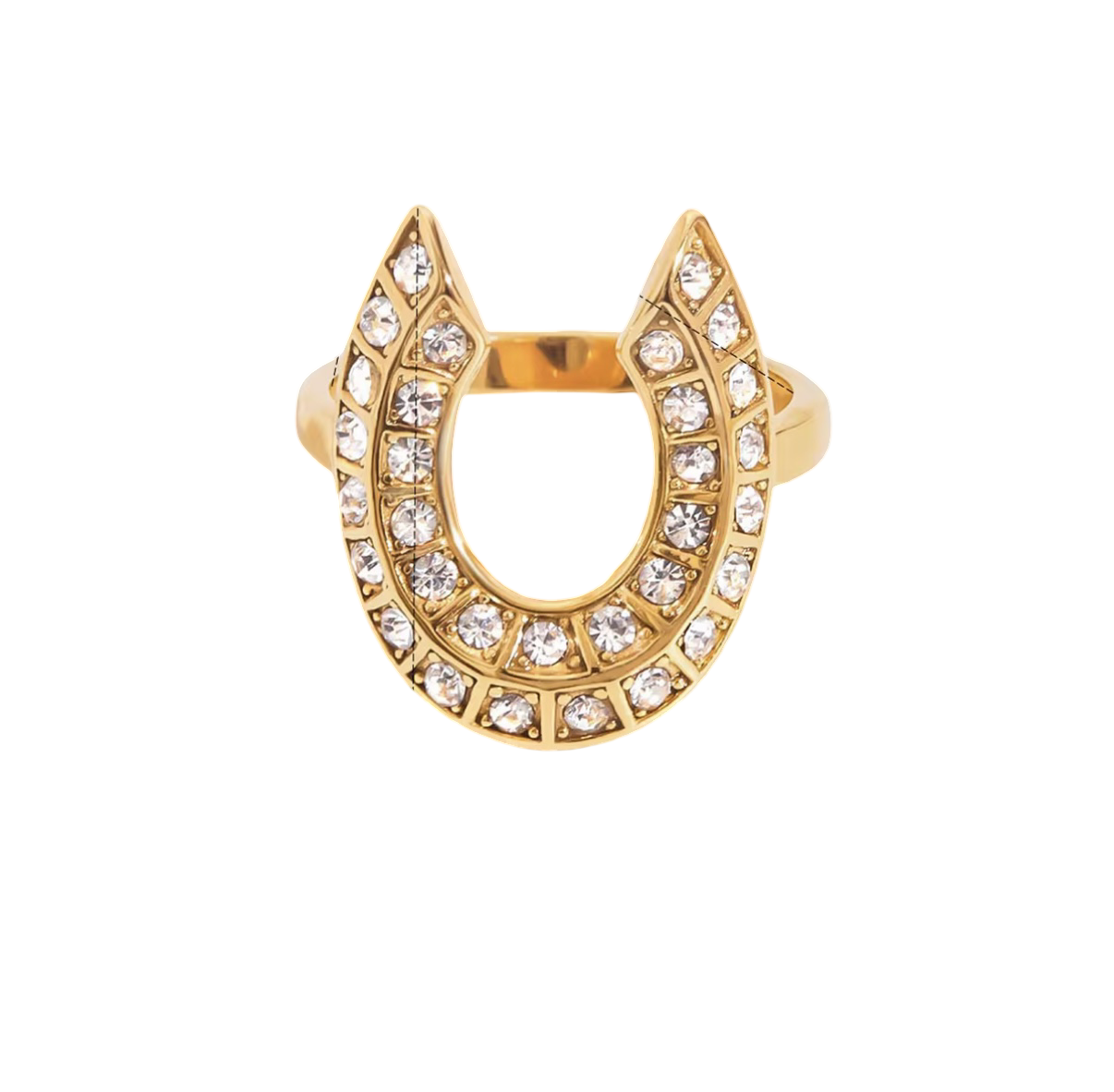 Year of the horse Rings