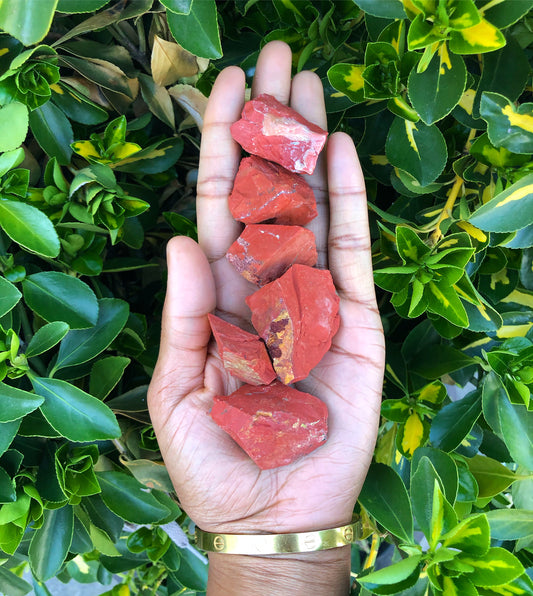 Raw Red Jasper (self confidence)