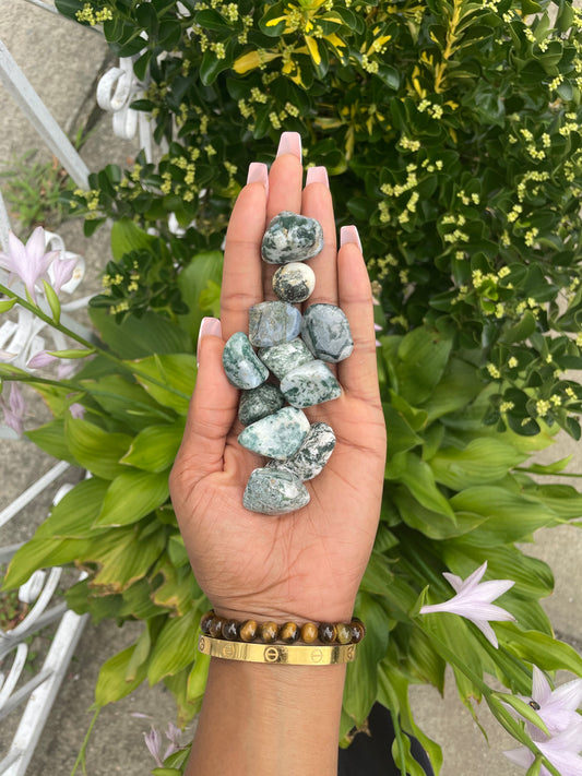 Tree Agate (inner peace)