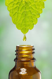 Raw Bergamot Natural Essential Oil